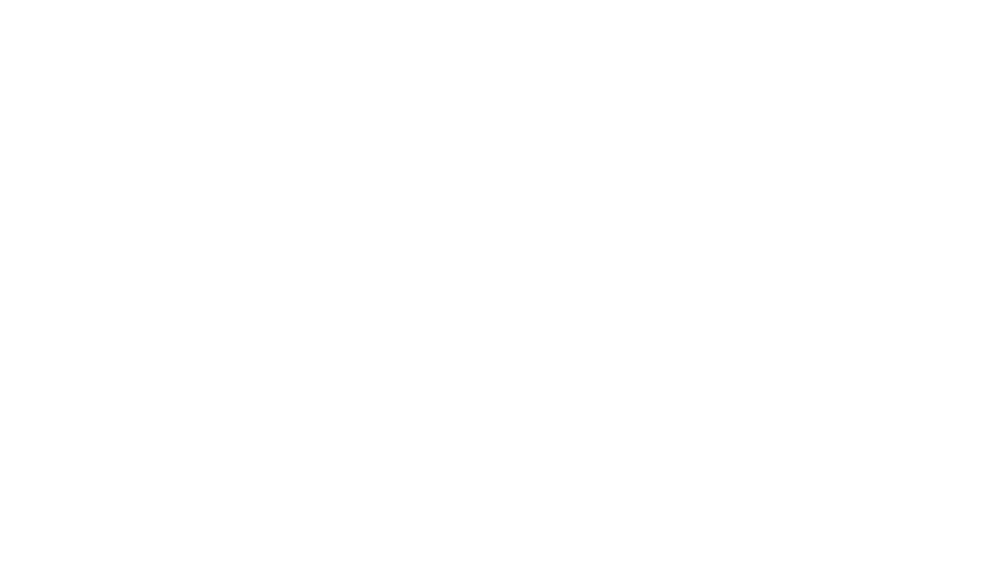 logo (3)